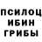 Псилоцибиновые грибы Psilocybe CaptainObvious123