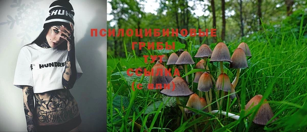 ECSTASY Алексеевка