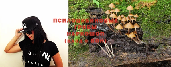 мет Аркадак