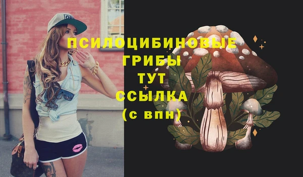 Альфа ПВП Армянск