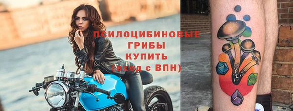 спайс Алзамай