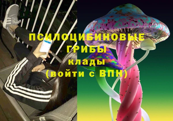Альфа ПВП Армянск