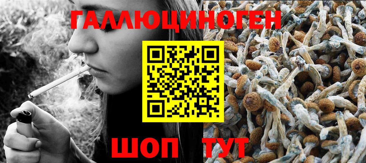 Псилоцибиновые грибы MAGIC MUSHROOMS Аша