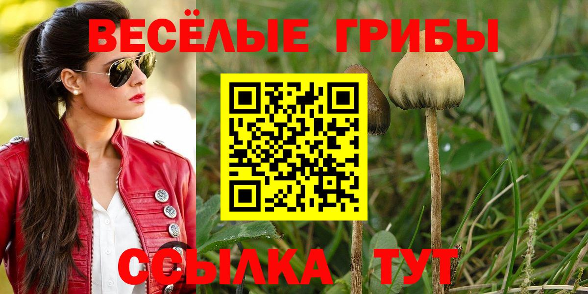 Аша  Галлюциногенные грибы Psilocybe  Псилоцибиновые грибы мухоморы  Вход с VPN 